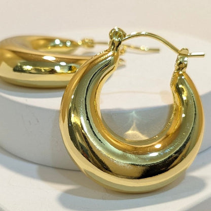 18k Gold Plated Anti Tarnish Water Proof Circular Loops Earring